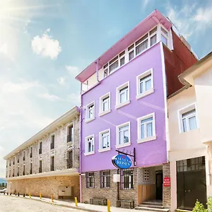 seven-roses-apart-hotel.istanbul-turkeyhotels.com/